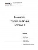 INGIENERÍA COMERCIAL INTRODUCCIÓN A LAS FINANZAS
