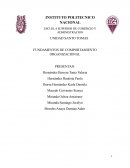 Comportamiento Organizacional, Empresa Multitransportes MEX