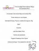 Ensayo "Nuevos modelos de negocios: Big Data"