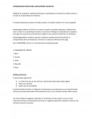 Metodología baloncesto