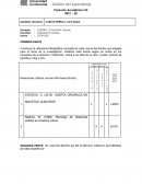 REUSO DE BOTELLAS DE PLASTICO PARA HUERTOS COLGANTES