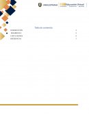 Analisis economico internacional