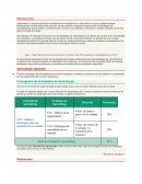 Introducción EA1. Análisis de la organización