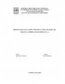 PROPUESTA DE MANUAL BPM Y PHS PARA LA LÍNEA DE HARINA DE MAÍZ EN LA EMPRESA TRANSCOMVENTA C.A