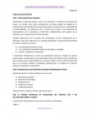 APUNTES DE DERECHO PROCESAL CIVIL I