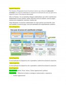 Diapositivas- Planeación estratégica