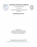 Práctica 6 “Factores de Desnaturalización de Proteínas”