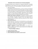 Naturaleza de las emociones: las 5 eternas preguntas