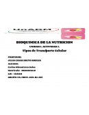 Tipos de Transporte Celular