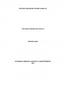 ESTUDIO CASO SEVEN -ELEVEN JAPAN CO.