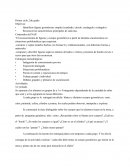 Planificación figuras geométricas