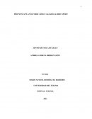 PROPUESTA PLAN DE MERCADEO CALZADO ALBERT SPORT