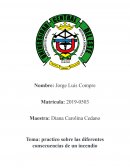 Práctico sobre las diferentes consecuencias de un incendio