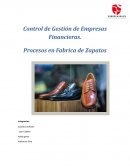 Control de Gestión de Empresas Financieras. Procesos en Fabrica de Zapatos