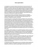 Docente Investigador