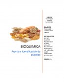 BIOQUIMICA Practica. Identificación de glúcidos