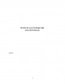 Diseño de una Estrategia Ágil Caso DisFrutaLow