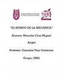 Vectores, reporte de video