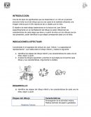 La capacidad de representación