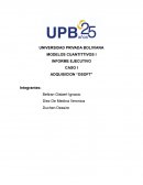INFORME EJECUTIVO CASO I ADQUISICION “DSOFT”