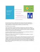 Los tiempos y servicios asociados