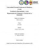 Enfoques, teorías y modelos de la didáctica