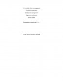 La siguiente evolución de la I.A.