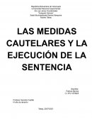 Medidas Cautelares. Conceptos alcance y finalidad