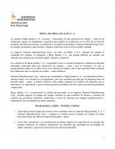 MINI CASO MEGA QUALITY, C.A