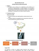 Biología Molecular, extracción de ácidos nucleicos