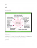 Gestion estrategica Interna