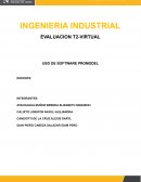 USO DE SOFTWARE PROMODEL