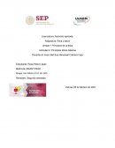 Principios éticos básicos