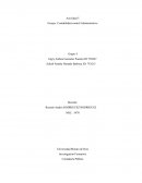 Contabilidad control Administrativo