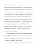 Riesgo integral y desarrollo sostenible