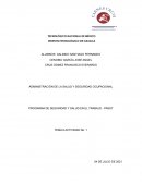 PROGRAMA DE SEGURIDAD Y SALUD EN EL TRABAJO - PASST