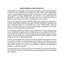 MICRO EMPRESA CSARU VEGETALES