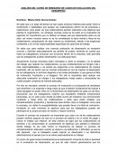 ANÁLISIS DEL CURSO DE SEMINARIO DE CASOS DE EVALUACIÓN DEL DESEMPEÑO