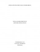 ESTIMULACIÓN INTRAUTERINA PARA EL NEURODESARROLLO