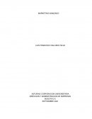 CASO DINAMIZADORAS MARKETING AVANZADO