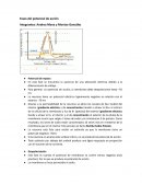 Fases del potencial de acción