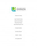 Analisis sistematico. Caso de Andrea