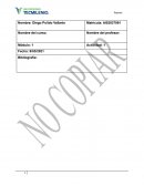 Importancia de considerar las características y diferencias individuales en el entorno organizacional