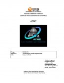 ACME Procesos de Negocio