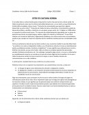 ESTO ES CULTURA SORDA