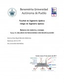 BALANCE DE REACCIONES CON RECIRCULACIÓN