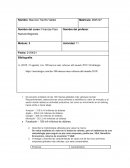 Actividad 11 Finanzas Para Nuevos Negocios