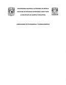 LABORATORIO DE FITOQUÍMICA Y FARMACOGNÓSIA