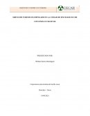 SERVICIOS TURISTICOS EMPLEADO EN LA CIUDAD DE SINCELEJO SUCRE CON FINES LUCRATIVOS