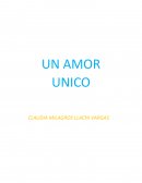 MI NOVELA. UN AMOR UNICO